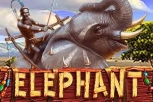 PLAYSTAR : ELEPHANT - NEXTSLOT777