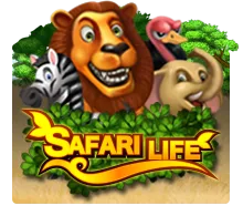 Joker123 : Safari Life - NEXTSLOT777