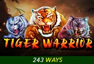 Spadegaming : Tiger Warrior - NEXTSLOT777